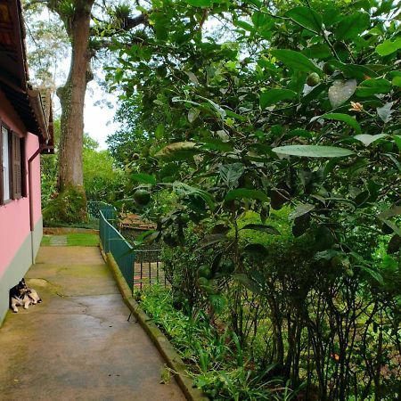 Casa Fazenda Inglesa - Anexo Villa Petrópolis Kültér fotó
