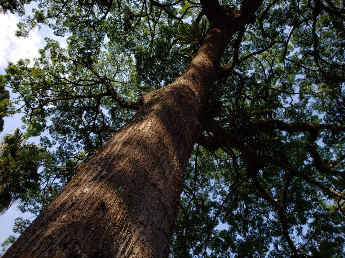 Casa Fazenda Inglesa - Anexo Villa Petrópolis Kültér fotó
