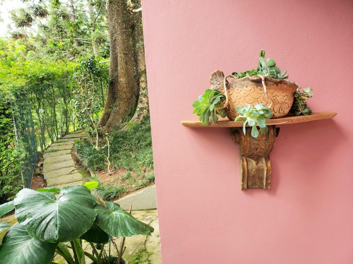 Casa Fazenda Inglesa - Anexo Villa Petrópolis Kültér fotó